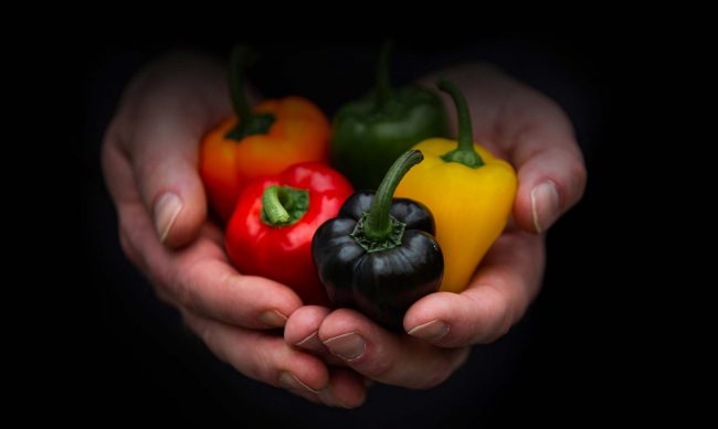 header-home-handen-met-mini-paprikas
